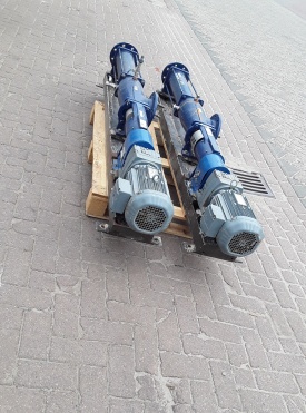 2 x Progressing cavity pump Seepex NS 26-6L