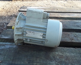 Elektromotor Rotor 0.37 kw, 1.370 rpm 