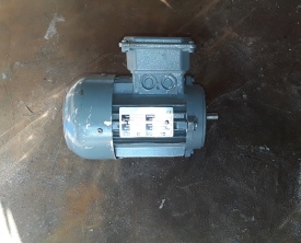 Elektromotor 0.18 kw, 2.760 rpm 