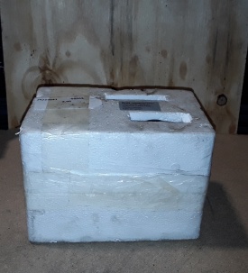 DC aandrijfmotor SHN DMW86105