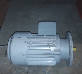 Elektromotor Rotor 0.55 kw, 2.790 rpm 