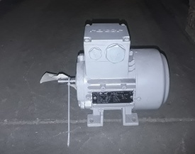 Elektromotor Rotor 0.18 kw, 2.820 rpm 
