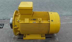 Elektromotor Rotor 110 kw, 988 rpm 