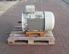 Elektromotor Rotor 75 kw, 2.978 rpm 