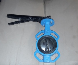Vlinderklep tussenklem 3" DN80 PN16