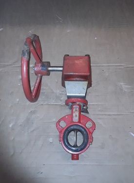 Vlinderklep Bray met actuator DN40 