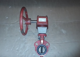 Vlinderklep Bray met actuator DN40