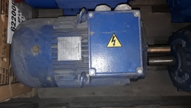 Elektromotor Electramo 18.5 kw, 2.929 rpm 