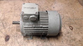 Elektromotor Rotor 0.75 kw, 2.840 rpm 