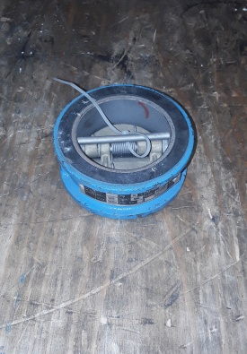 ECON terugslagklep tussenklem PN16 2" GG25 SS304
