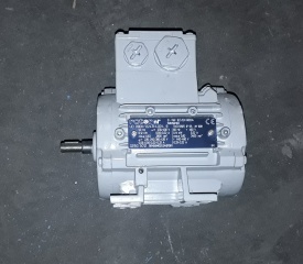 Elektromotor Rotor 0.12 kw, 2.800 rpm 