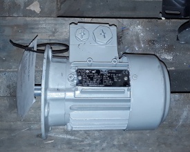 Elektromotor Rotor 0.12 kw, 1.350 rpm 