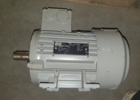Elektrmotor Rotor 0.55 kw, 880 rpm 