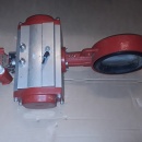 Vlinderklep Bray met actuator DN150 