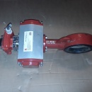 Vlinderklep Bray met actuator DN100