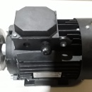 Elektromotor 3 kw, 2.885 rpm 