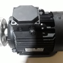 Elektromotor 3 kw, 2.865 rpm 