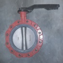 Vlinderklep BRAY DN200 PN16