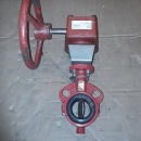 Vlinderklep Bray met actuator DN40