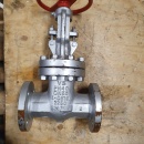 Globe valves 