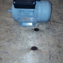 2 x Elektromotor BEGE 0.25 kw, 1.380 rpm 230 volt