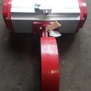 Vlinderklep Bray met actuator 30/1600